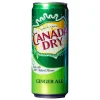 Canada Dry UK, bevanda allo zenzero da 330ml